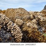 7乐开奖直播现场全程高清同步放送 5w9ih5mba