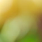 7乐彩票最新开奖结果查询与中奖号码公布 6hhp24h