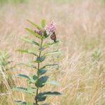 爱博体育娱乐:揭秘体育博彩的规则与技巧 haksd42x2