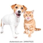 NBA柠檬直播:畅享高清流畅的篮球赛事盛宴 h6nxa3